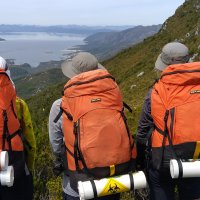 Twinning on the Spires